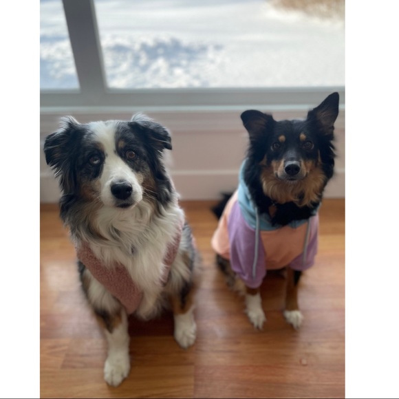 ⓓ ⓞ ⓖ ⓖ ⓞ ⓕ ⓡ ⓘ ⓔ ⓝ ⓓ ⓛ ⓨ - Picture 5 of 5